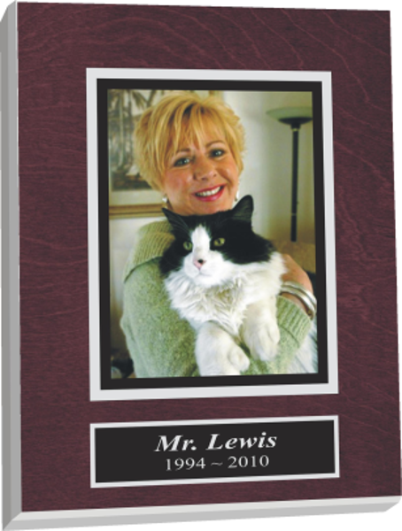 All animals are special, but cats have a knack of getting to our hearts. A great way to celebrate the life of an animal by commemorating their lives with a pet plaque.