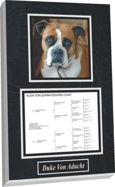 Dog Plaque with certification or family tree