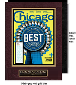 best of the best award plaques, best of the best award winners, article plaques for best of