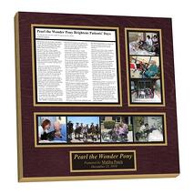 preserving newspaper articles into wall plaques,newspaper wall plaques,newspaper plaques