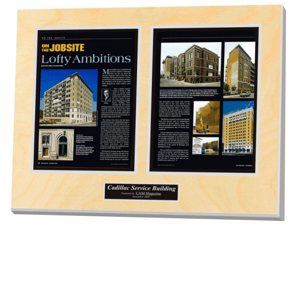 Framing articles, framed articles, custom framing articles