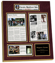 newspaper frame, newspaper frames, framed article plaque